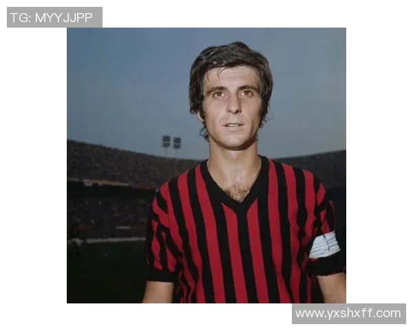 足球球星百科全书免费下载与精彩球员生涯详细解析